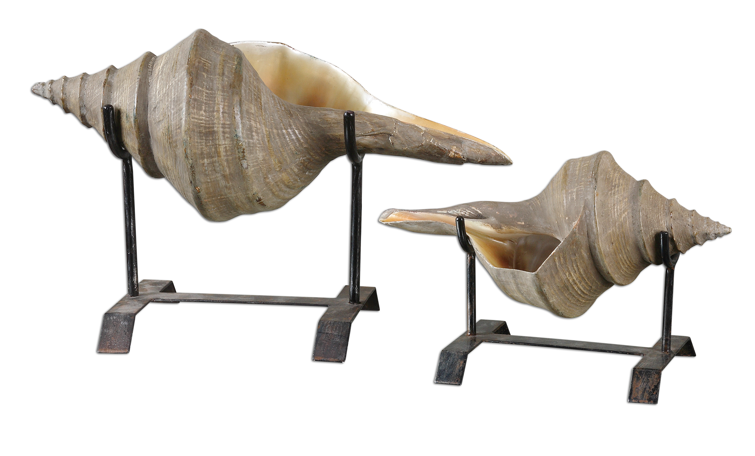 Picture of CONCH SHELL SCULPTURE, SET/2