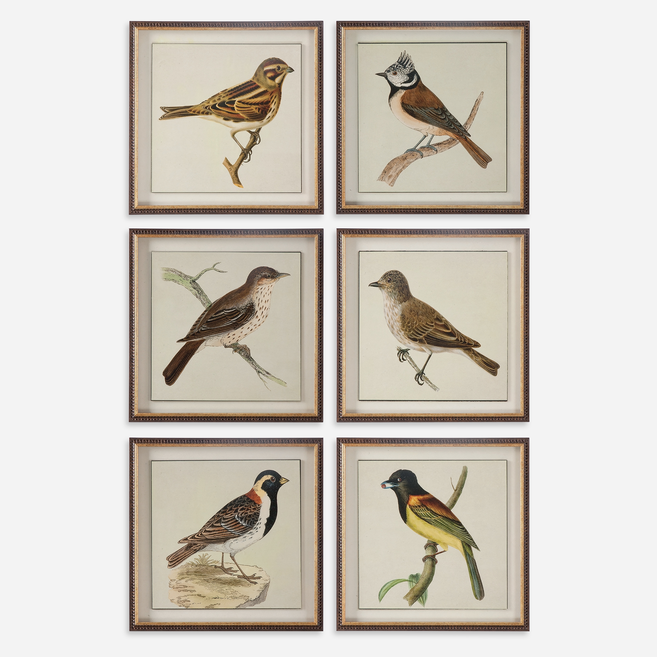 Online Designer Living Room Spring Soldiers Bird Prints, S/6
