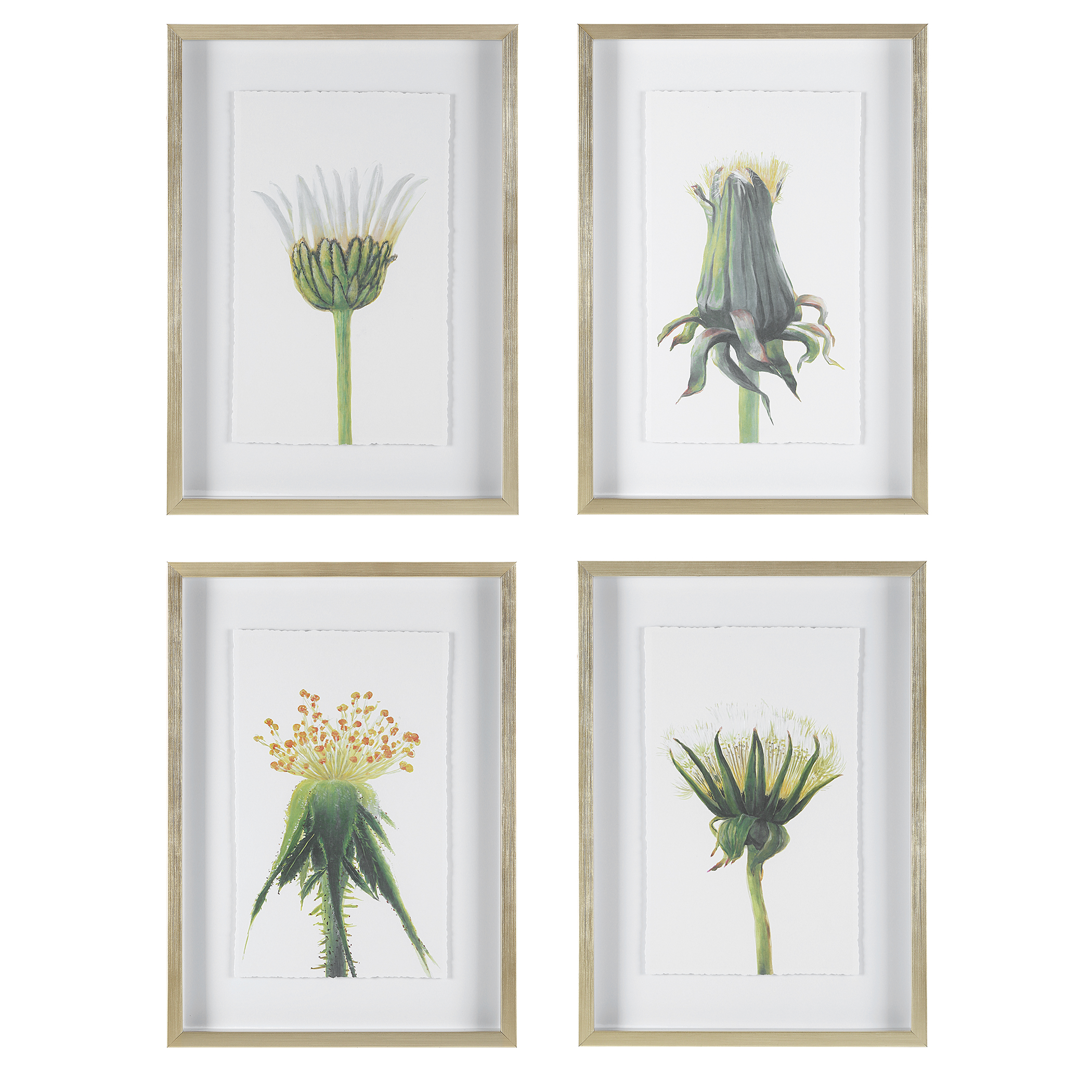 Picture of WILDFLOWERS GOLD FRAMED PRINTS