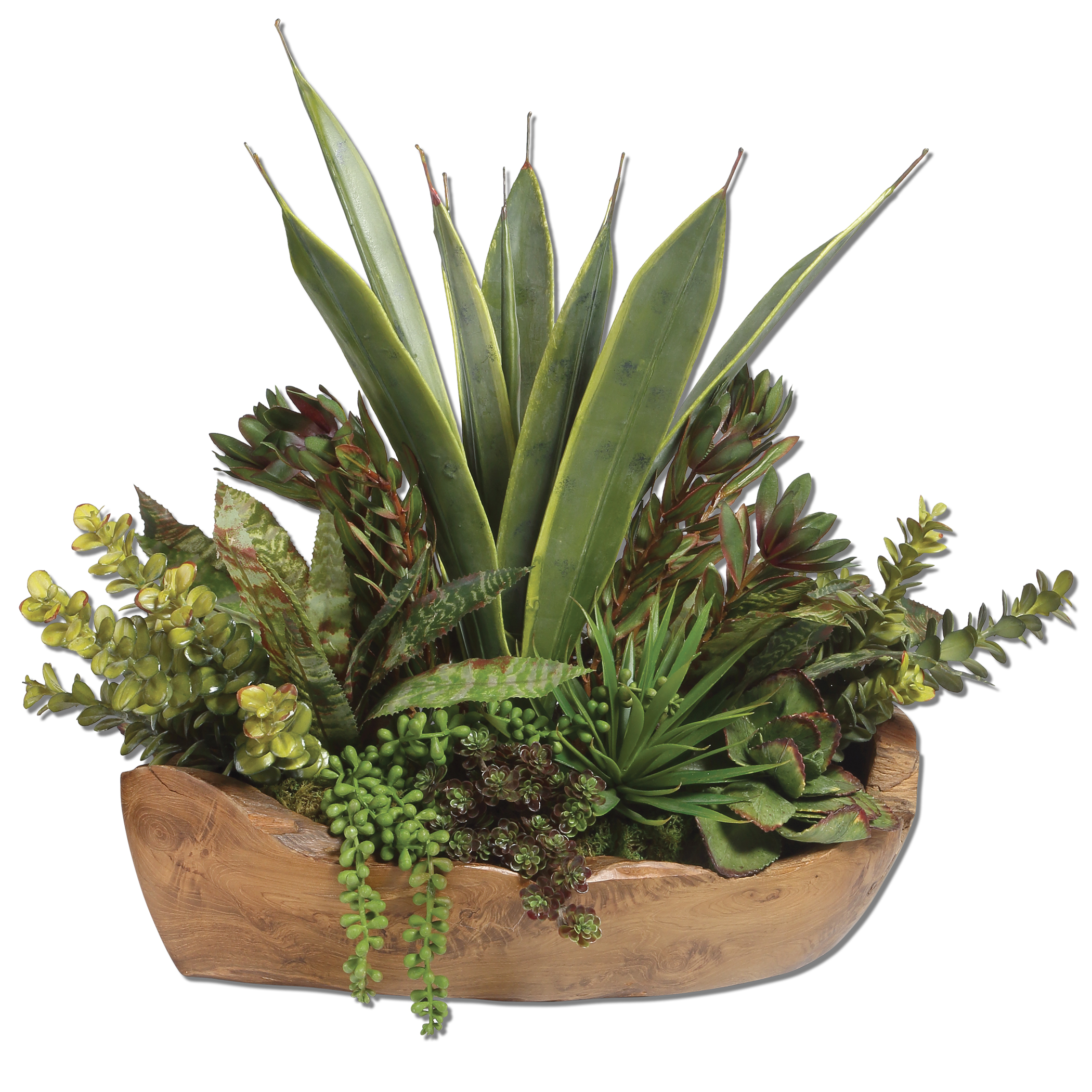 Online Designer Hallway/Entry Salar Succulents In Teak Bowl