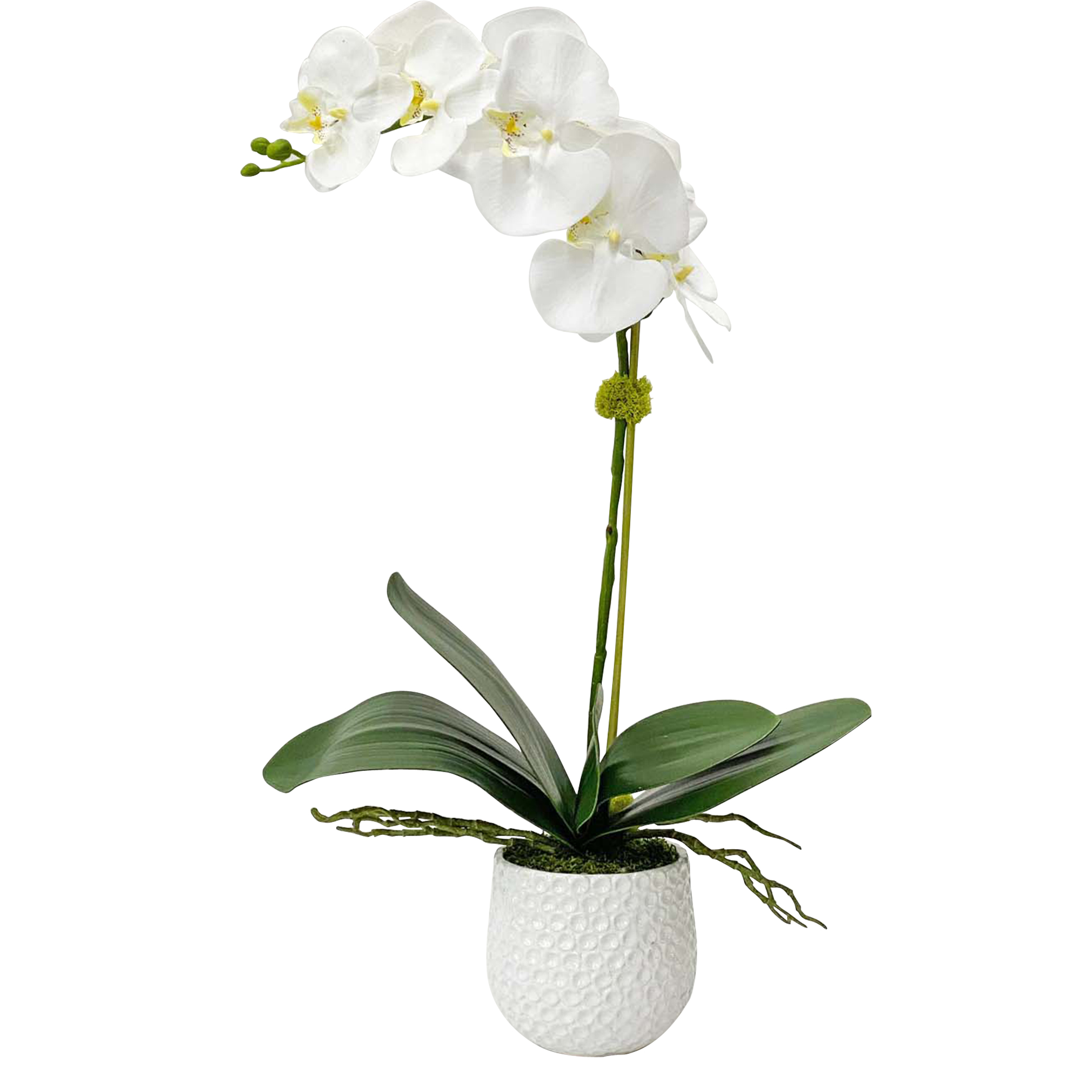 Online Designer Living Room Cami White Orchid