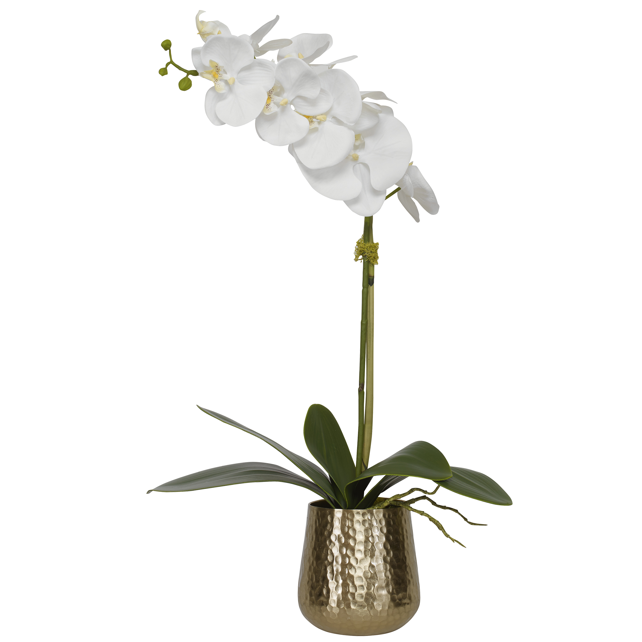 Online Designer Bathroom Cami Orchid With Brass Pot