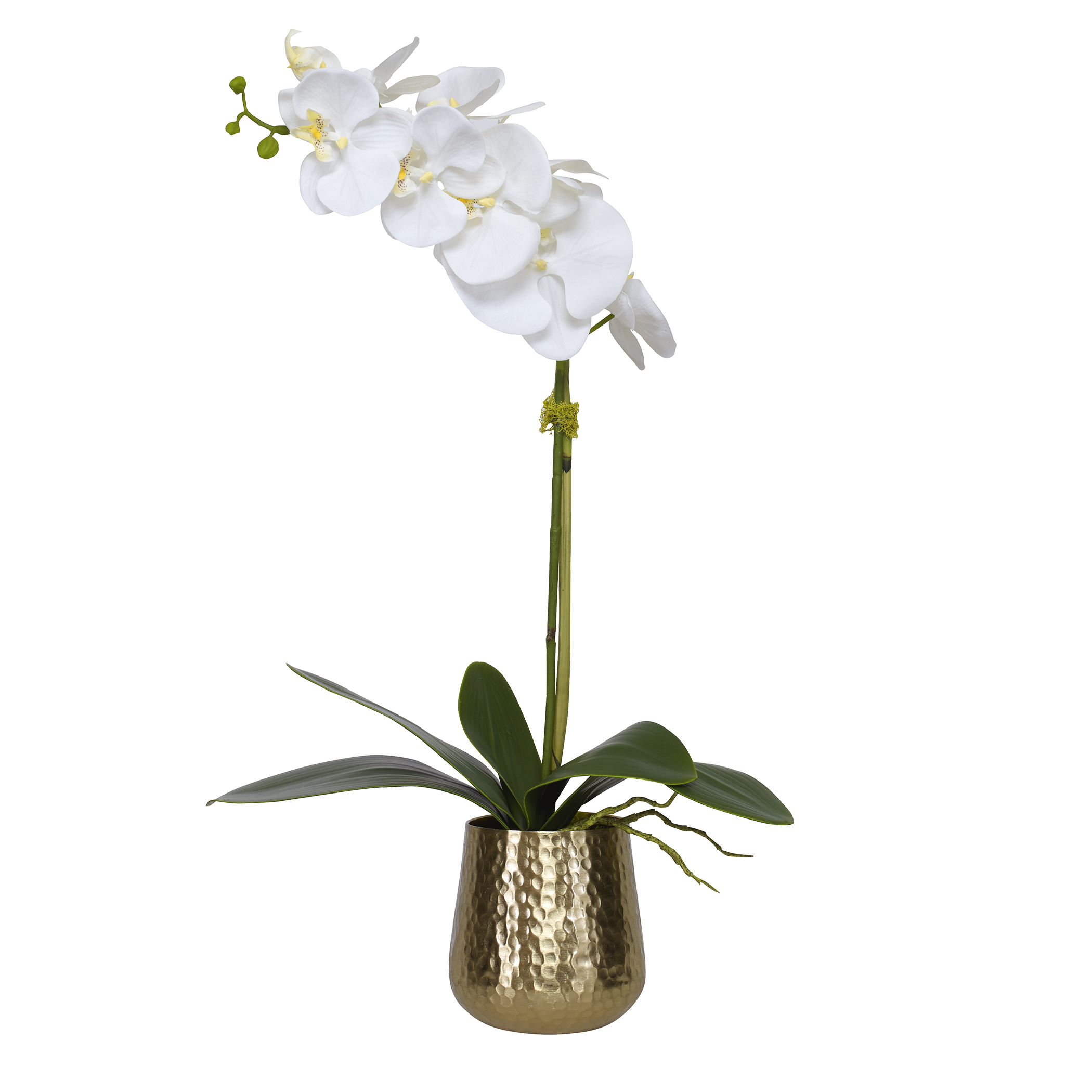 Online Designer Bedroom Cami Orchid With Brass Pot