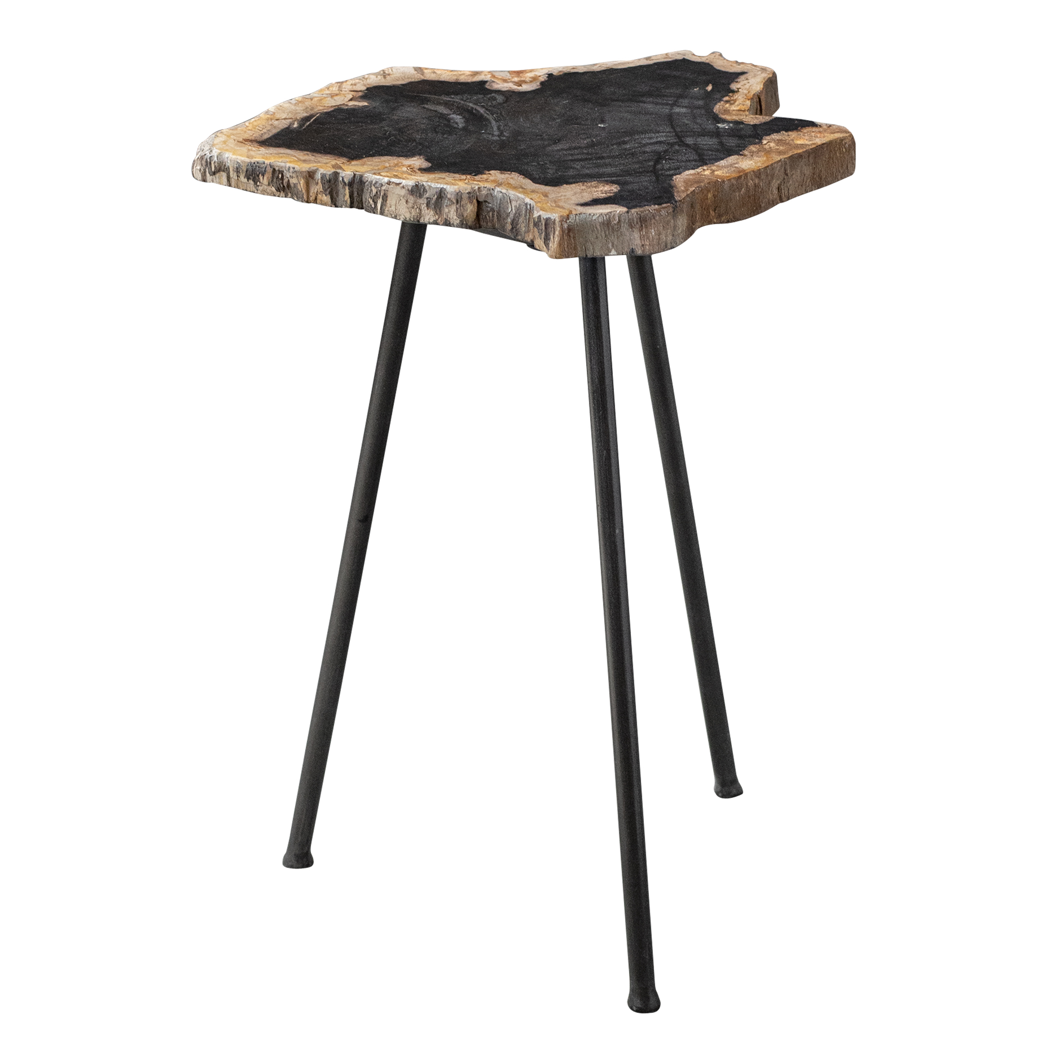Online Designer Living Room Mircea Petrified Wood Accent Table